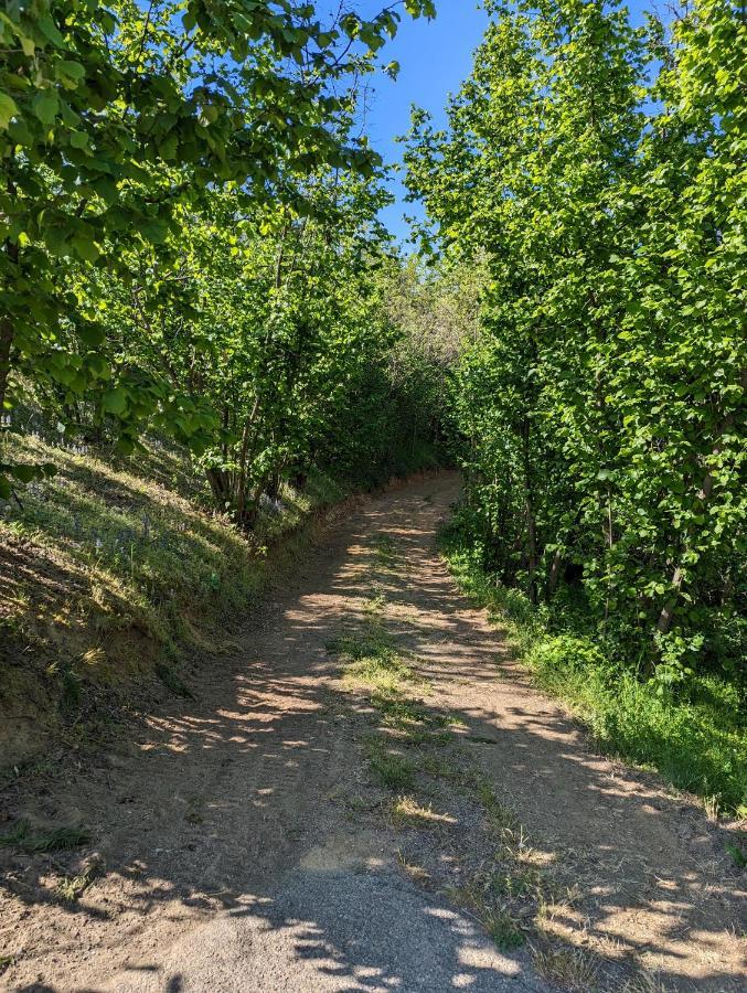 Cascina Cortese Vigliano d'Asti ภายนอก รูปภาพ